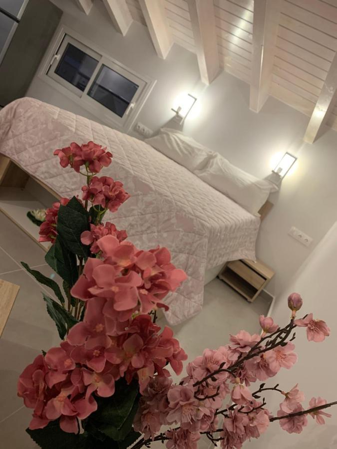 Terpsichore Boutique Bright New Sofita Studios And Appartment Dassia  Eksteriør billede